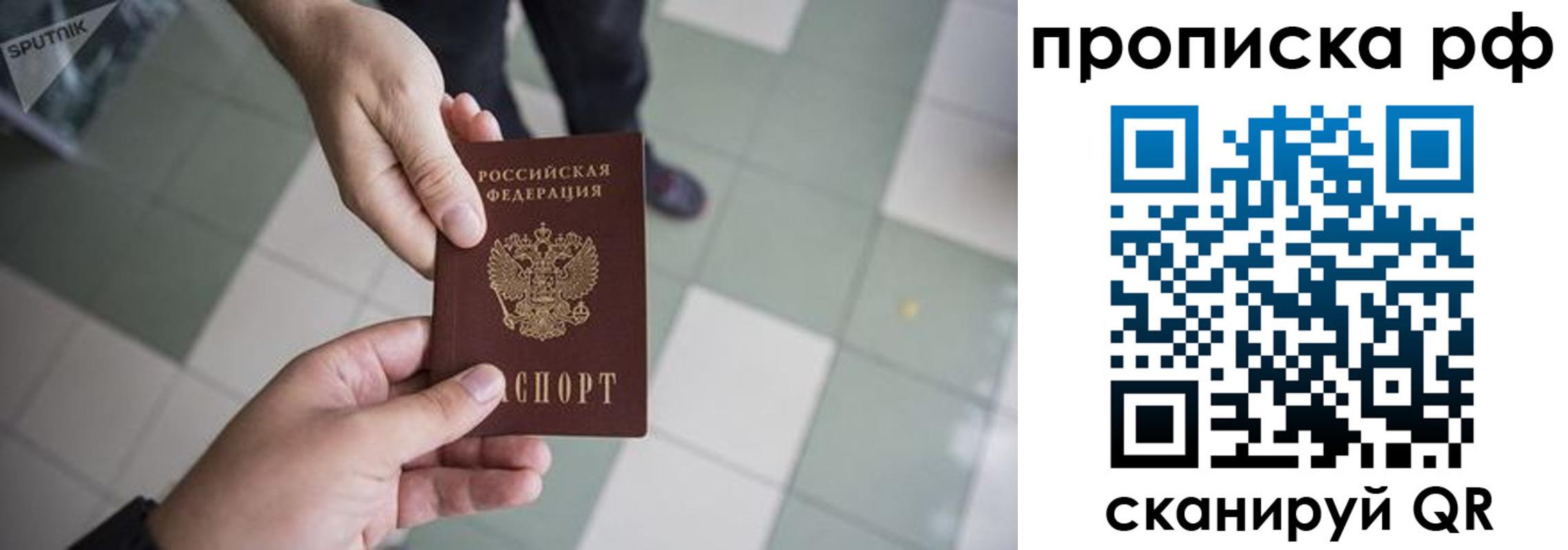 прописка гарантия в Каменке